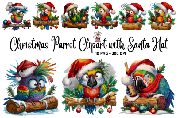 Christmas Parrot Clipart PNG Bundle: Festive Illustrations for Crafters