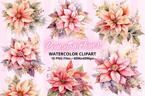 Christmas Poinsettia Flowers ClipArt PNG for Illustrations